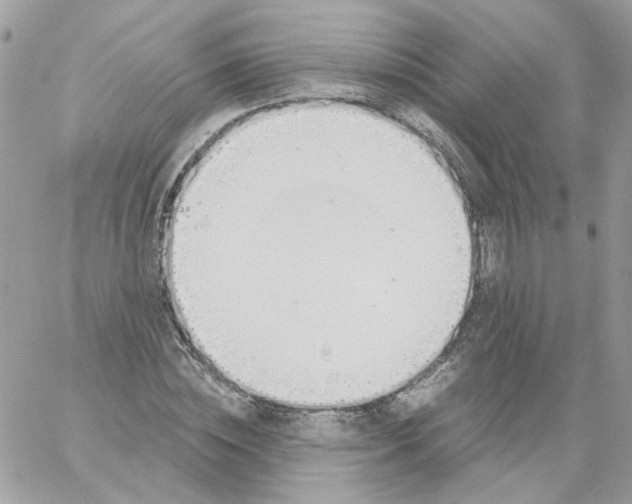 X0000061720828200512302117