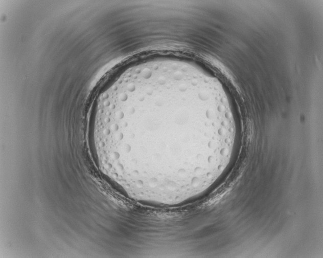 X0000061720829200512302117