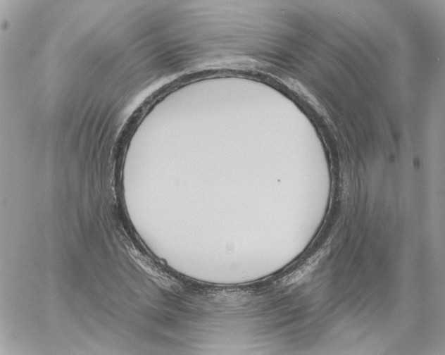 X0000061720830200512302117