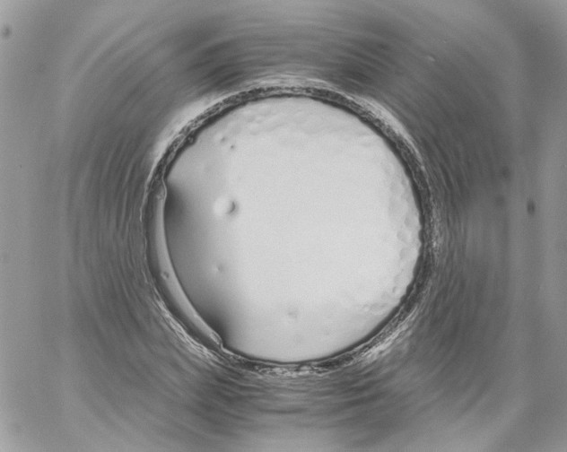 X0000061720831200512302117