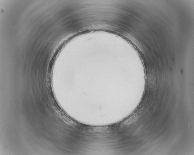 X0000061720832200512302117