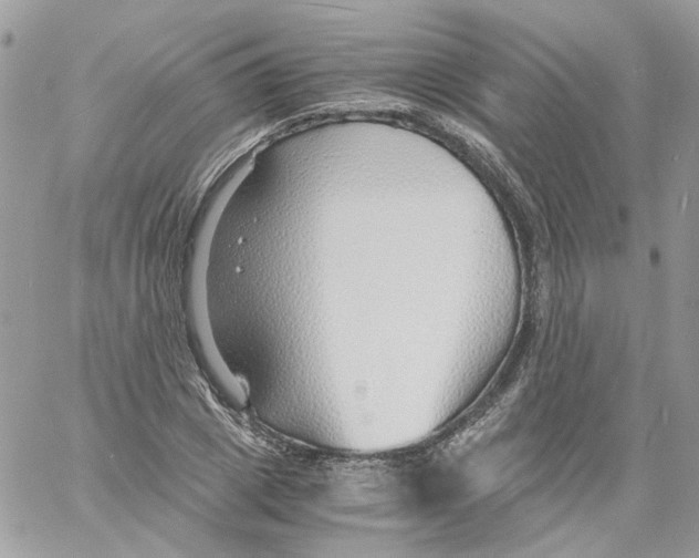 X0000061720833200512302117