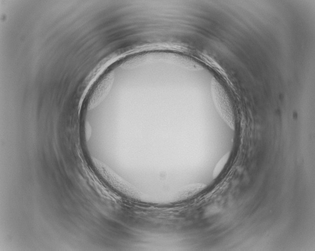 X0000061720836200512302118