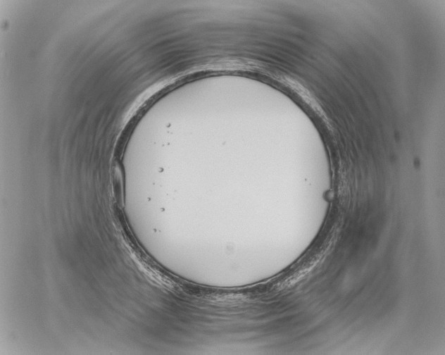 X0000061720837200512302118