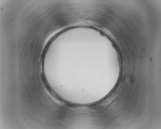 X0000061720838200512302118