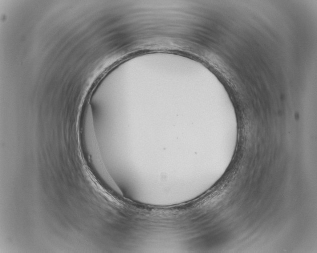 X0000061720840200512302118