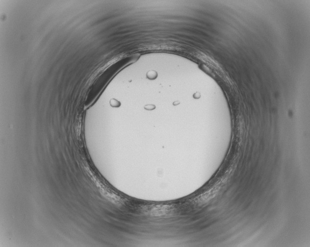 X0000061720841200512302118