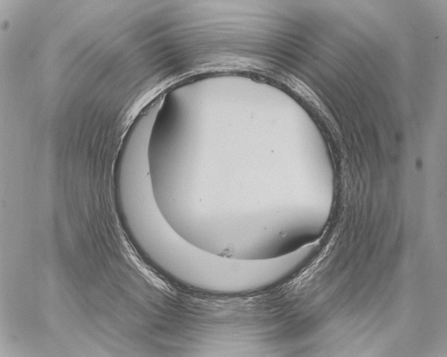 X0000061720842200512302118