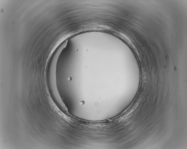 X0000061720843200512302118