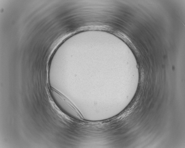 X0000061720844200512302118