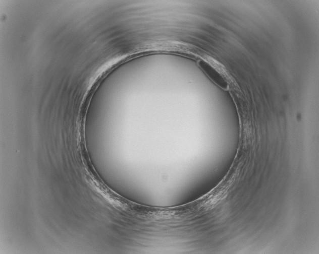 X0000061720846200512302118