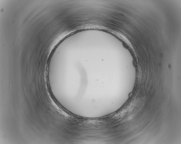 X0000061720847200512302118