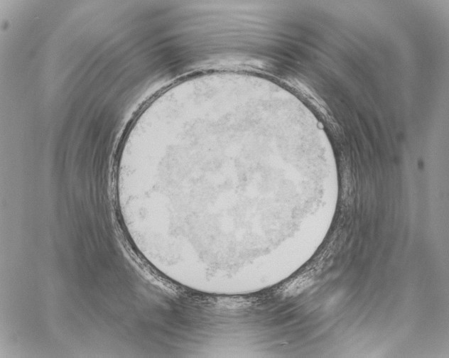 X0000061720848200512302118