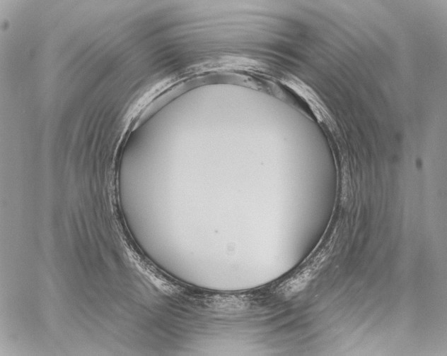 X0000061720850200512302118