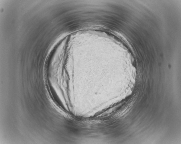 X0000061720851200512302118