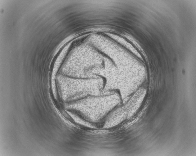 X0000061720853200512302118