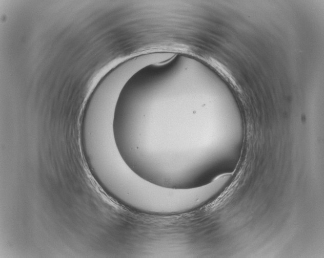 X0000061720854200512302118