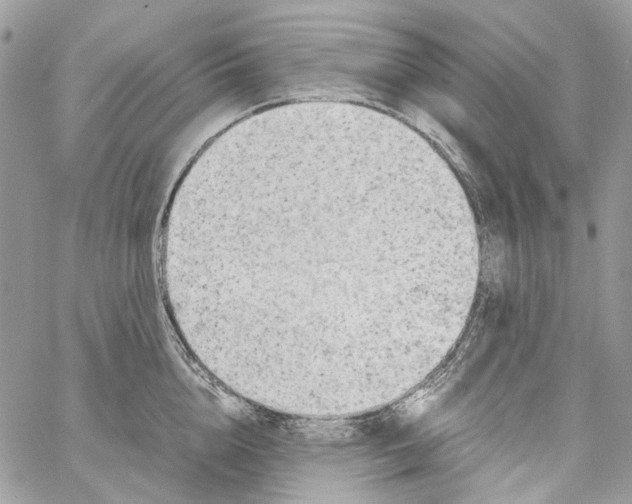 X0000061720856200512302118