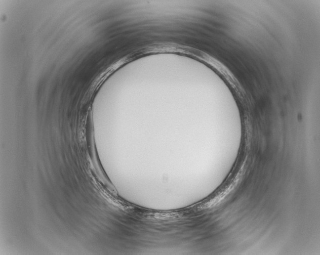 X0000061720857200512302118