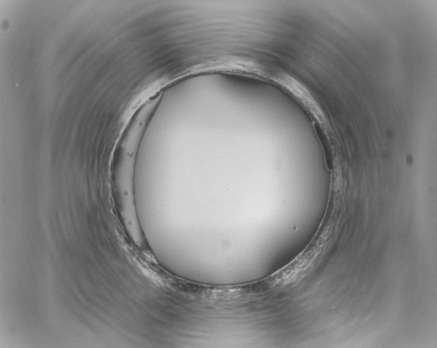 X0000061720858200512302118