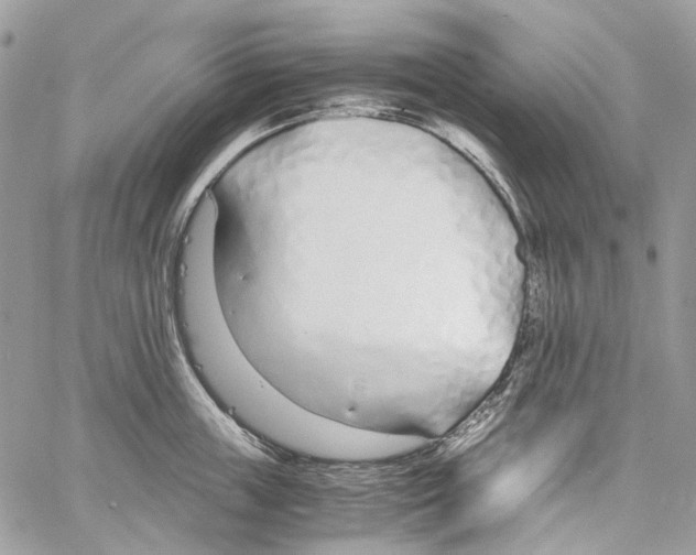 X0000061720859200512302118