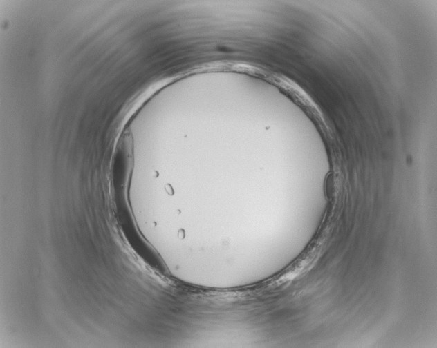 X0000061720860200512302118