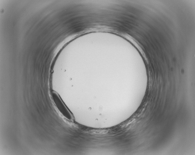 X0000061720861200512302118