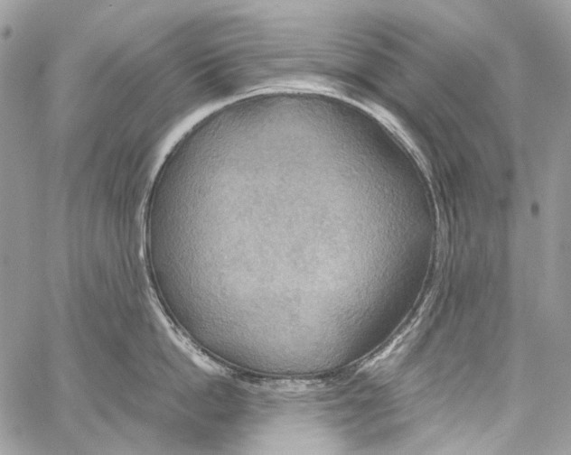 X0000061720862200512302118