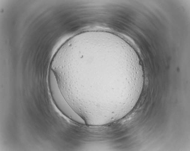 X0000061720863200512302118