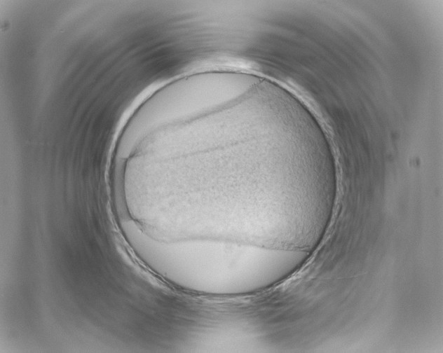 X0000061720864200512302118