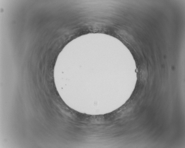 X0000061720865200512302117