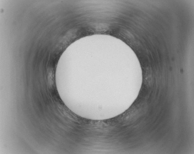 X0000061720866200512302117