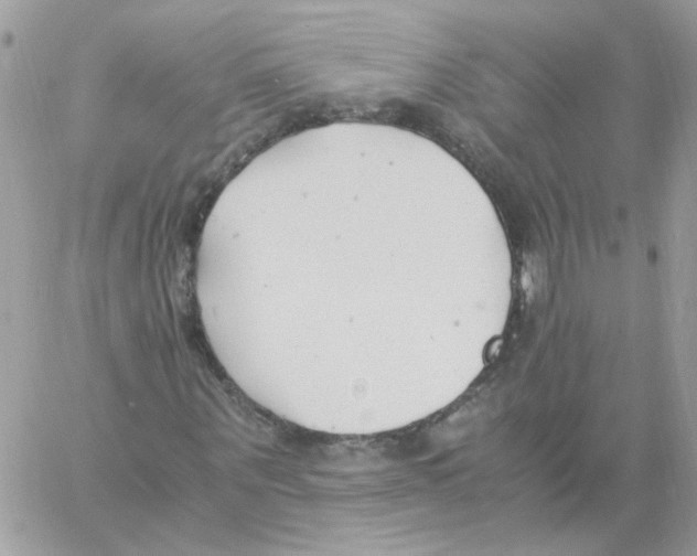 X0000061720867200512302117