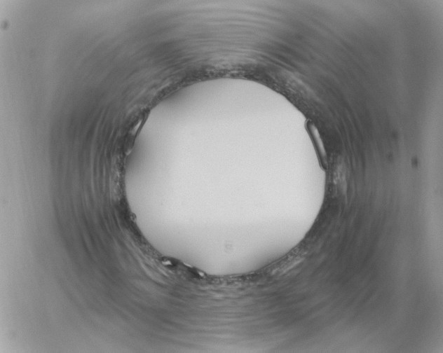 X0000061720868200512302117