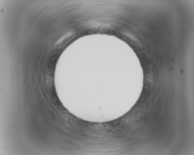 X0000061720869200512302117