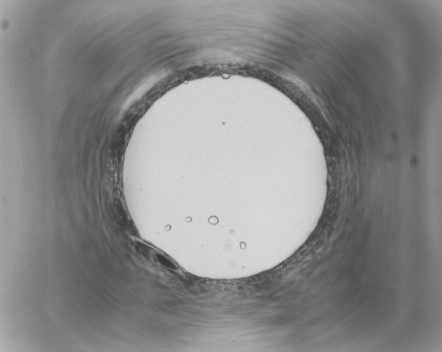 X0000061720871200512302117