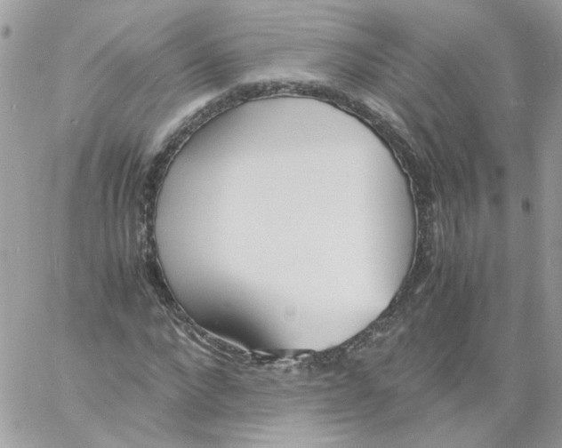 X0000061720872200512302117