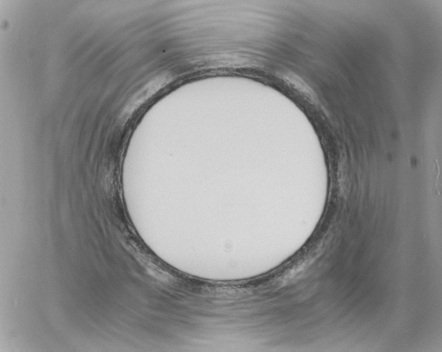 X0000061720873200512302117