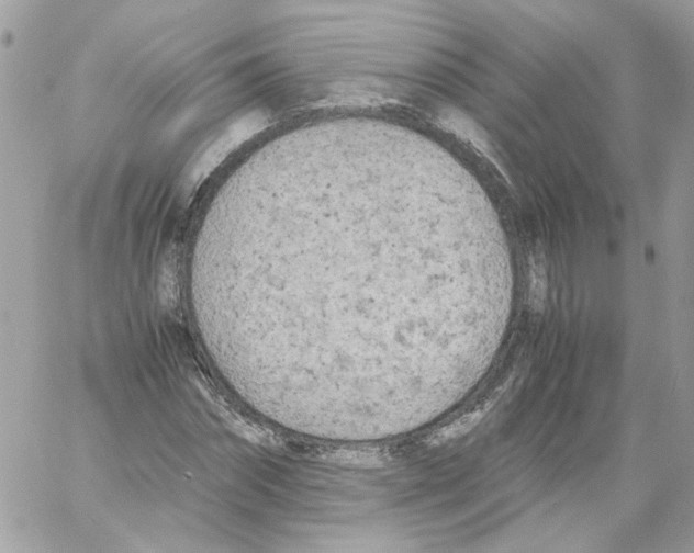 X0000061720874200512302117