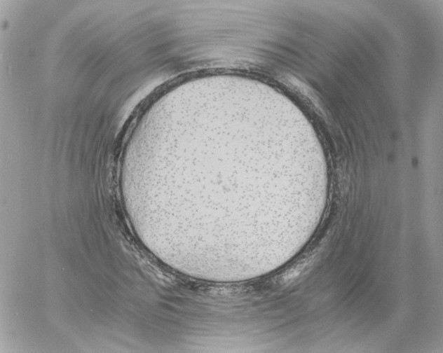 X0000061720875200512302117