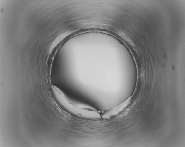 X0000061720877200512302117