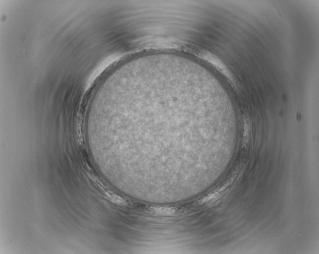 X0000061720878200512302117