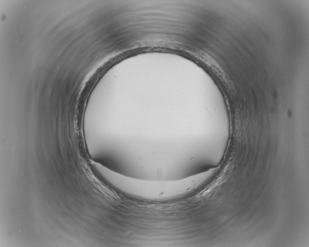 X0000061720880200512302117