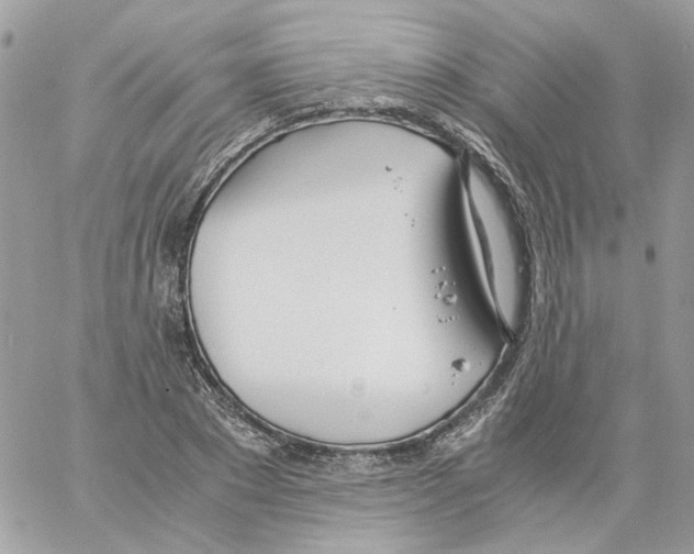 X0000061720881200512302117