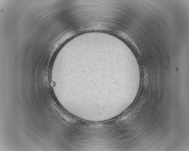 X0000061720882200512302117