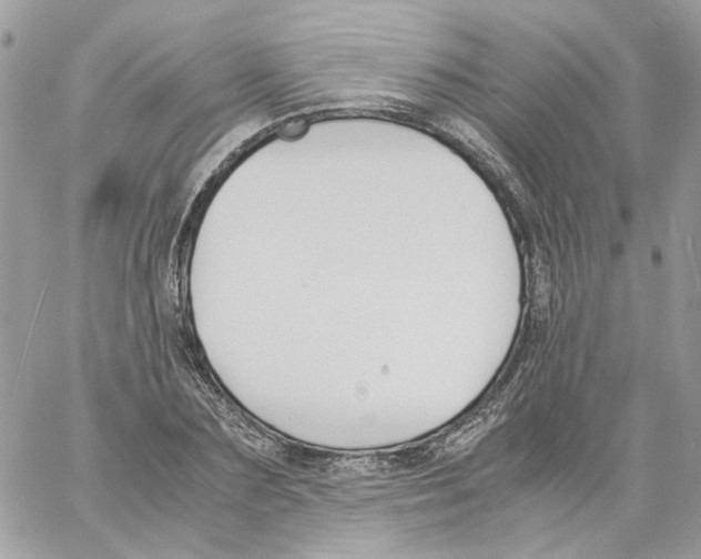 X0000061720883200512302117