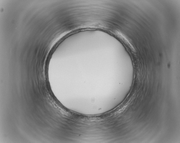 X0000061720884200512302117