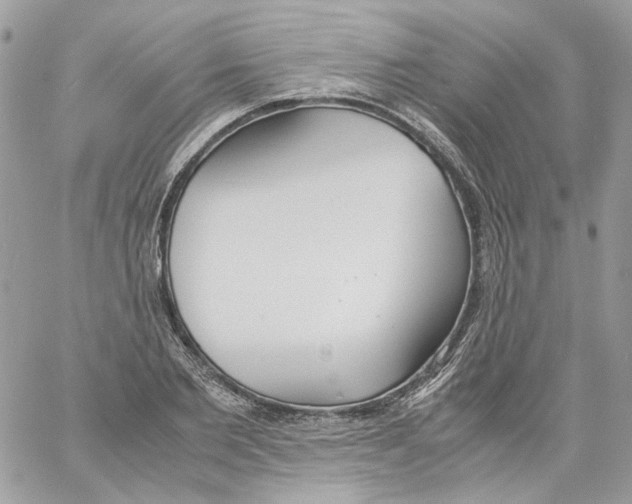 X0000061720885200512302117