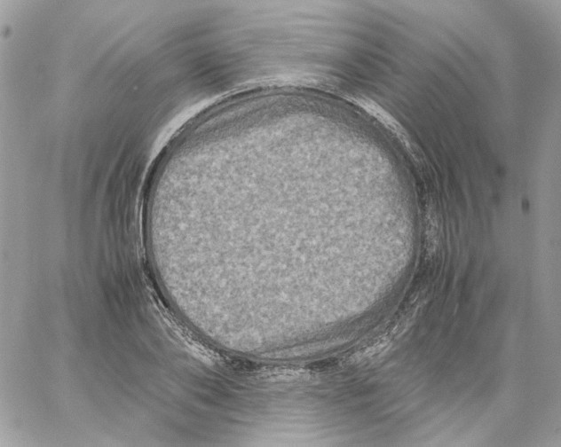 X0000061720886200512302117