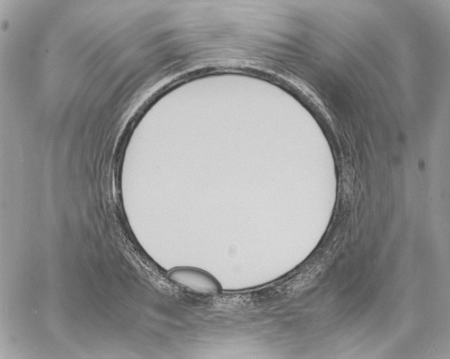 X0000061720887200512302117